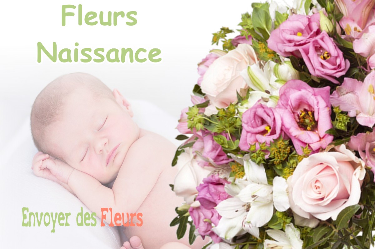 lIVRAISON FLEURS NAISSANCE à LONGAGES